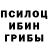 Галлюциногенные грибы GOLDEN TEACHER MaNgO _VaNgO