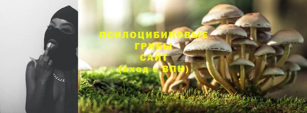 метадон Богородск