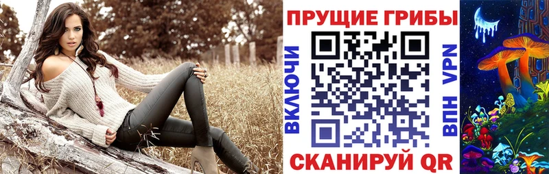 KRAKEN вход  закладки  Шатура  Галлюциногенные грибы MAGIC MUSHROOMS 